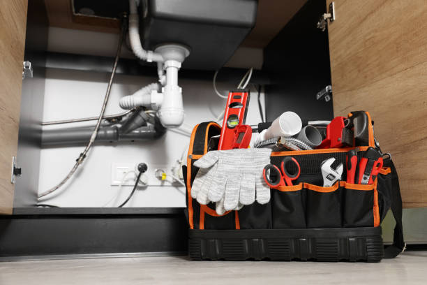Best Clogged Drain Plumber  in Winthrop, IA