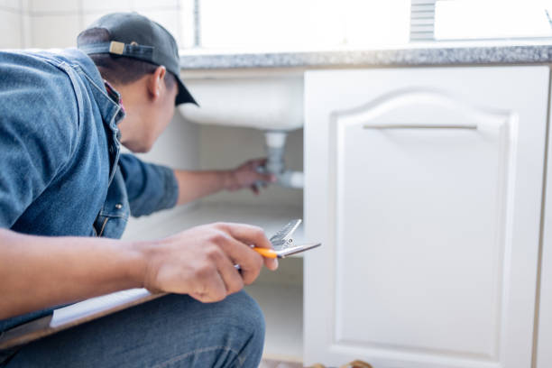 Best Local Plumber Services  in Winthrop, IA